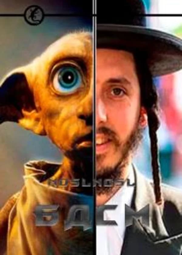 БДСМ (Гарри Поттер)