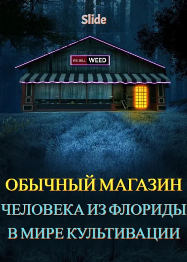 Обычный магазин человека из Флориды в мире культивации