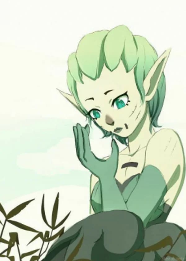 Вакфу: Прошлое в тени