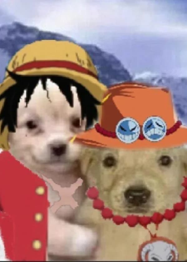 Ван Пис: Перезагрузка