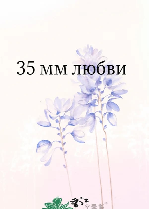 35 мм любви