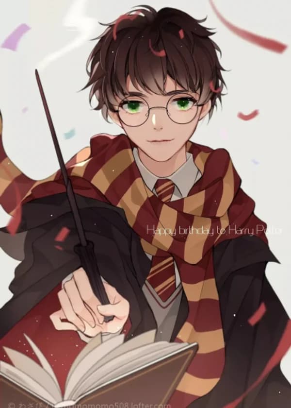 Гарри Поттер и финал Суперкубка