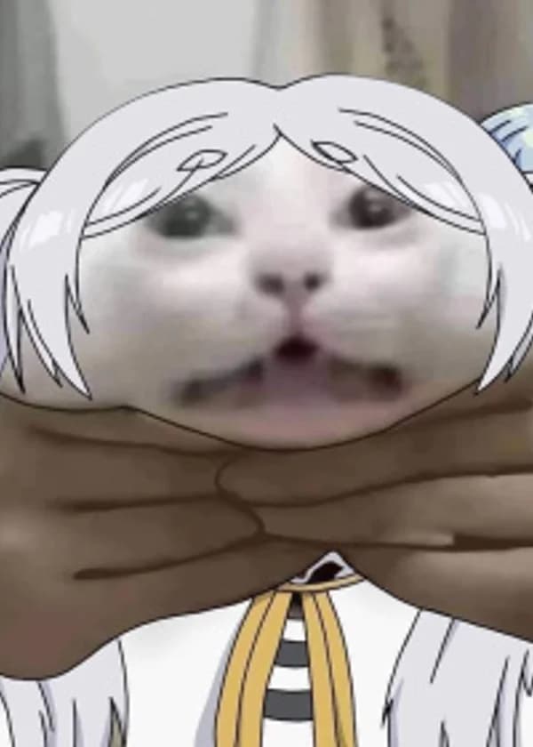 Фрирен: Эльф, который слишком торопится