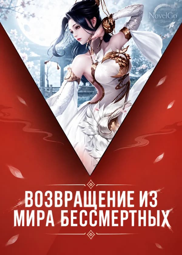 Возвращение из Мира Бессмертных